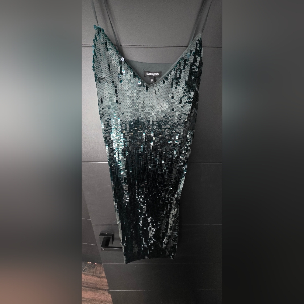 Express Emerald Sequin Dress